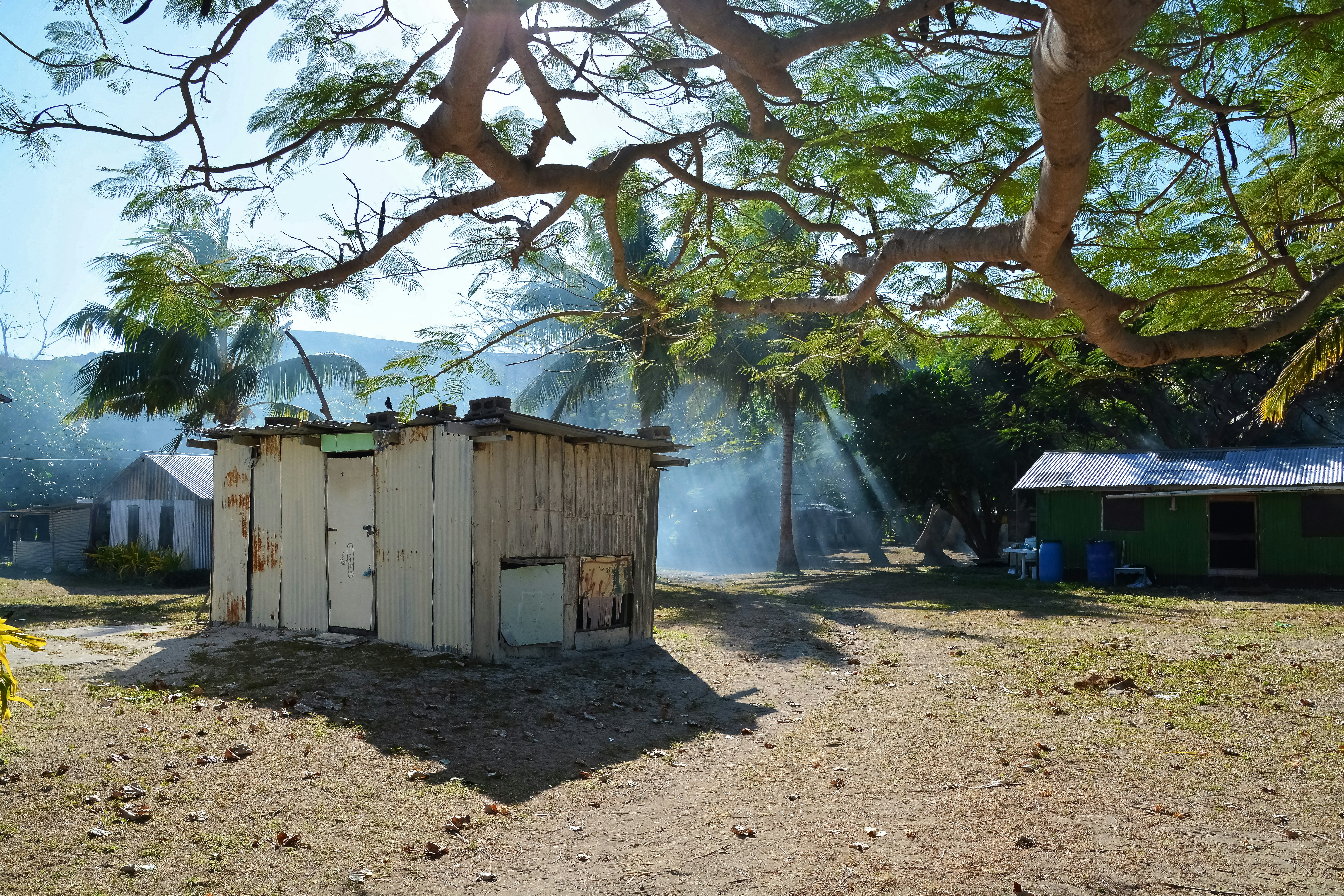 brown wooden shed near green tree during daytime